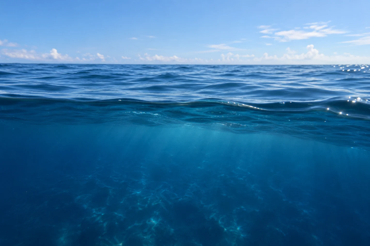 Blue ocean water viewed partly above and partly below the surface.