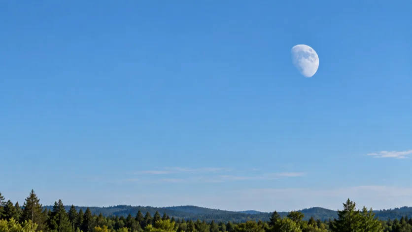 A pale Moon visible above a landscape under a clear blue daytime sky.